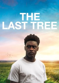 The Last Tree 2019
